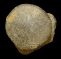 Cast pewter stud. It may have served as a sleeve button or it might also have been for a collar or other part of clothing.